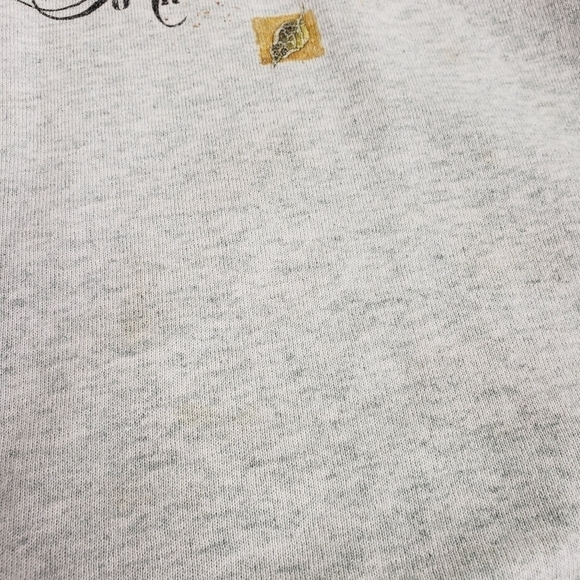 Vintage 90s Single Stitch Sweatshirt Apples Fall Large VGUC - Picture 8 of 10